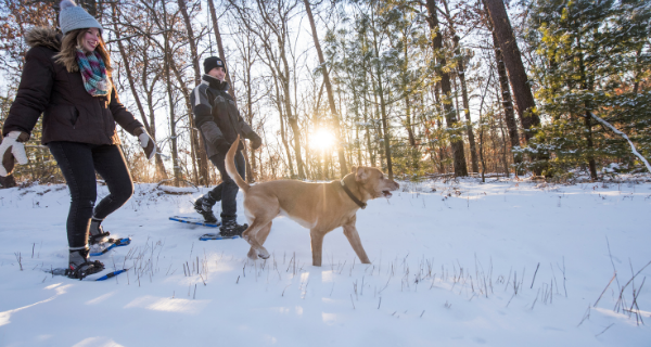 Couple snowshoeing with dog 