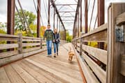 Couple walking puppy across Phoenix Park bridge 