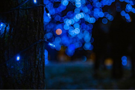 Blue tree lights 