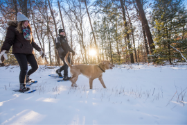 Couple snowshoeing with dog 