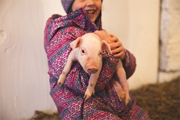 a young girl holding a piglet at Govin's Farm 