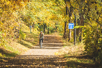 A woman riding her bike through the fall colors on the Chippewa River State Trail in Eau Claire 