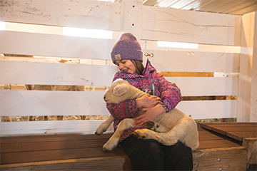 A young girl holding a baby lamb at Govin's Farm in Menomonie, WI 