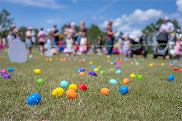 a field of grass with colorful Easter eggs scattered across the yard 
